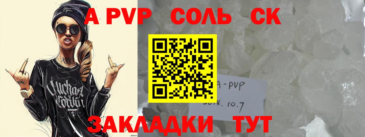 Альфа ПВП СК КРИС Ростов Великий