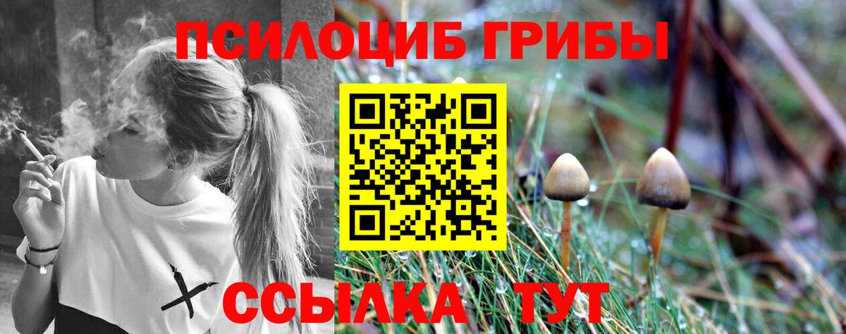 Псилоцибиновые грибы GOLDEN TEACHER  Галлюциногенные грибы прущие грибы  Вход с VPN  Ростов Великий 
